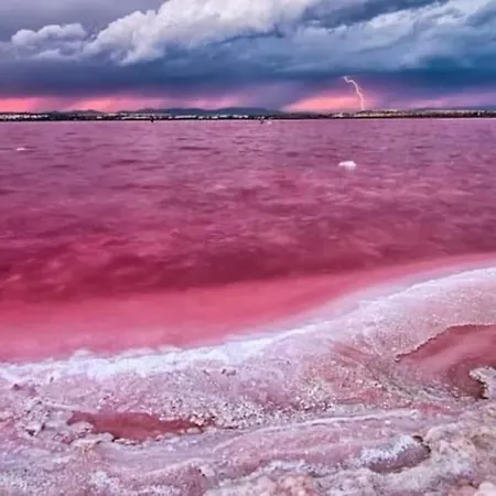 Azul/torrevieja شقة