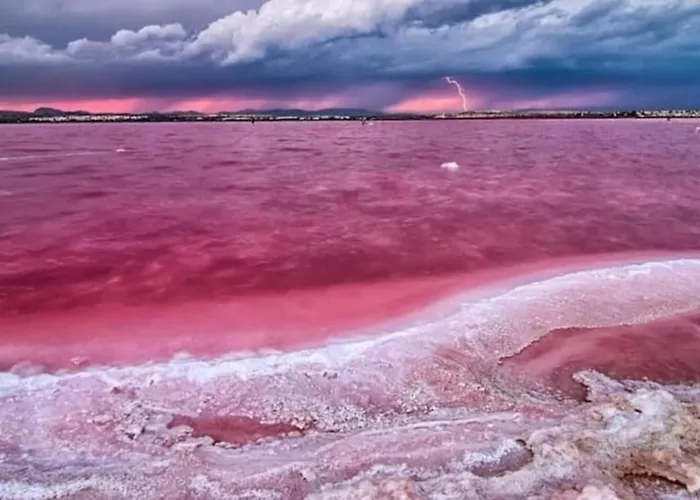 Azul/torrevieja Lejlighed